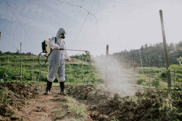 Best Mosquito Control Services  in Hamburg, IA