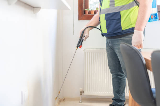 Best Local Pest Control Services  in Hamburg, IA