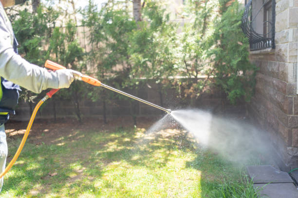 Best Mosquito Control Services  in Hamburg, IA