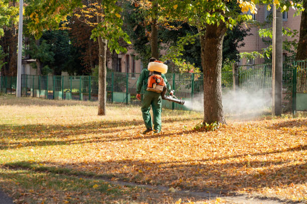 Best Flea Control Services  in Hamburg, IA