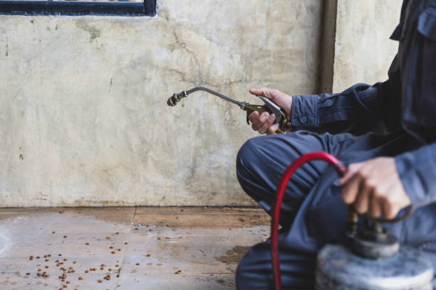 Best Affordable Pest Control Services  in Hamburg, IA